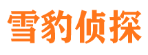 金城江侦探